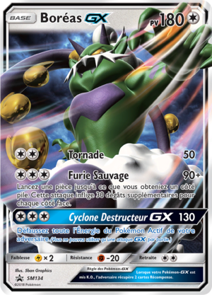 Carte Promo SM SM134.png