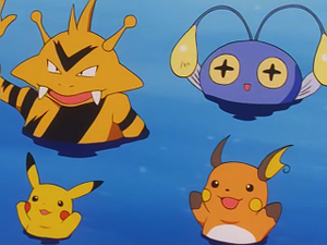 EP242 - Élektek, Loupio et Raichu.png