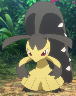 Mysdibule sauvage - Film 23.png