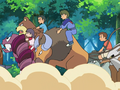 Drascore, Ursaring, Tauros, Donphan et Tengalice (de Dresseurs)