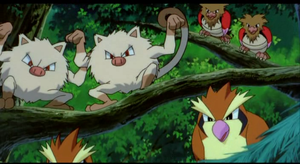 Film 04 - Roucool, Férosinge et Piafabec Sauvages.png