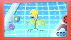 LV060 - Chétiflor Pokédex.png