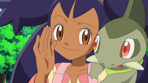 NB062 - Coupenotte d'Iris.png
