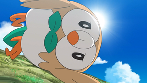 SL015 - Brindibou de Sacha.png