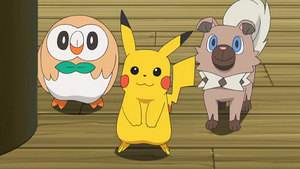 SL024 - Brindibou, Pikachu et Rocabot de Sacha.png