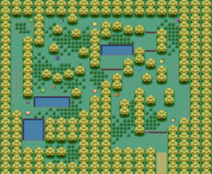Bois Baies Plan des Baies.png