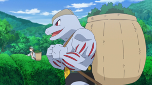 LH093 - Machopeur d'un Dresseur.png