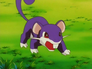 Rattata de Cathy.png