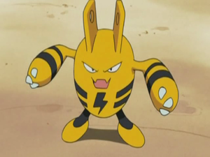 Chronicles 18 - Élekid de Cathy.png
