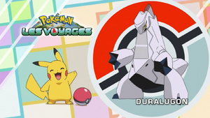 FR - QECP LV027.png