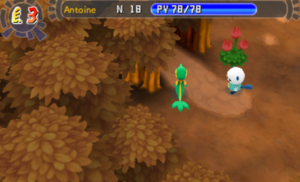 Forêt Bigarrée (5) PDMPI.png