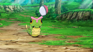 LV001 - Chenipan d'un Dresseur (Flash-back).png