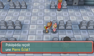 Mont Mémoria Pierre Éclat ROSA.png