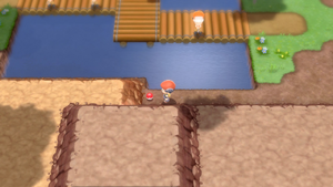 Route 205 Potion DEPS.png