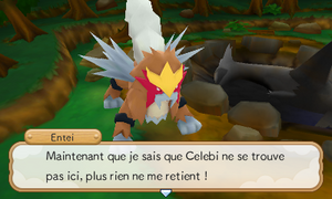 Forêt Mystique (8) PMDM.png