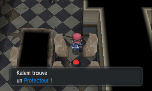 Hôtel Désolation Protecteur XY.png