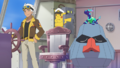 Pikachu (de Friede), Tarinor (des Électacleurs Volants) et Terapagos (sauvage)
