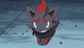 Zorua (de Luke)