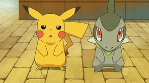 NB140 - Pikachu de Sacha et Coupenotte d'Iris.png