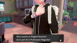 Route 2 Poignet Dynamax EB.png