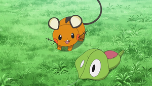 XY095 - Dedenne de Lem.png