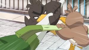 Canarticho de Galar et Canarticho Tranche-Nuit.png