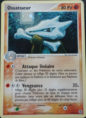 Carte EX Rouge Feu & Vert Feuille 7.png