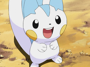 DP094 - Pachirisu d'Aurore.png