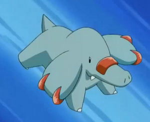 EP261 - Phanpy de Sacha.png