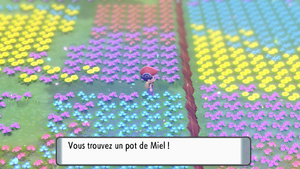 Pré de Floraville Miel 3 DEPS.png