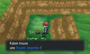 Route 7 Poudre Argentée XY.png