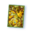 Protège-Carte - Pikachu