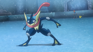 XY120 - Amphinobi de Sacha.png