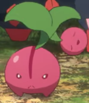 Ceribou sauvage - Film 23.png
