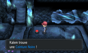 Grotte Miroitante Ceinture Noire XY.png