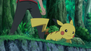 Pikachu(de Sacha)
