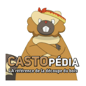 Logo Discord Poképédia Poisson d'avril 2023.png