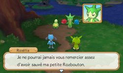 Une fois rentrée au village, l'équipe rejoint Rosélia au sommet de la colline.