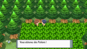 Route 201 Potion DEPS.png