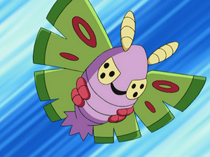DP014 - Papinox de Jessie.png