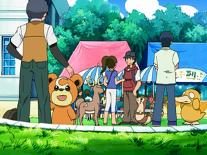DP049 - Teddiursa, Cerfrousse et Fouinar d'un Dresseur.png