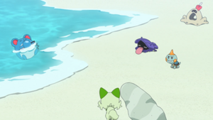 LH042 - Marill, Kokiyas, Khélocrok et Bacabouh.png