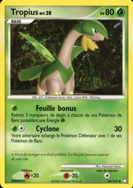 Fichier:Carte Diamant & Perle Trésors Mystérieux 64.png