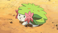 Shaymin (sauvage)