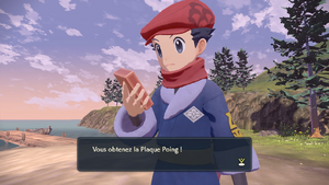 Plage Premiépas Plaque Poing LPA.png