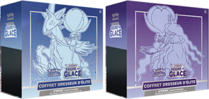 Coffret Dresseur d'élite Épée et Bouclier Règne de Glace.png