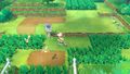 Les Pokémon sauvages apparaissent désormais hors combat dans les hautes herbes.