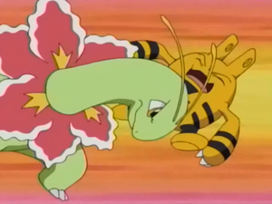 Méganium Charge.png