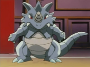 Rhinoféros(de Giovanni)