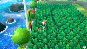 Route 17 Super Ball LGPE.png